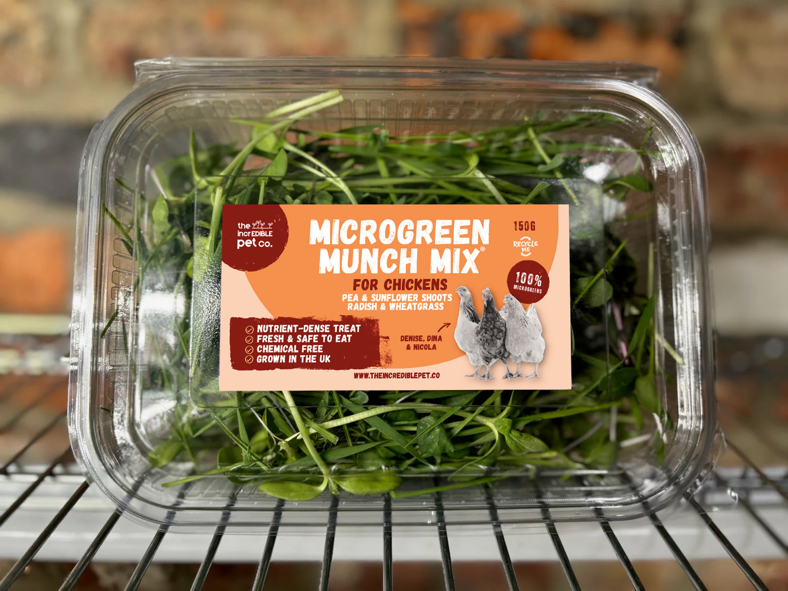 Microgreen Munch Mix - Backyard Chickens