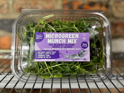 Microgreen Munch Mix - Bearded Dragons