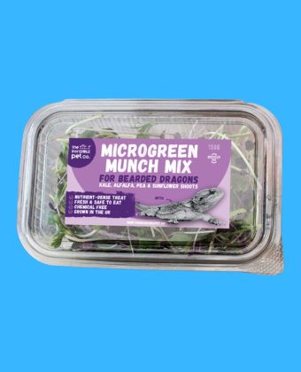 Microgreen Munch Mix for Bearded Dragons