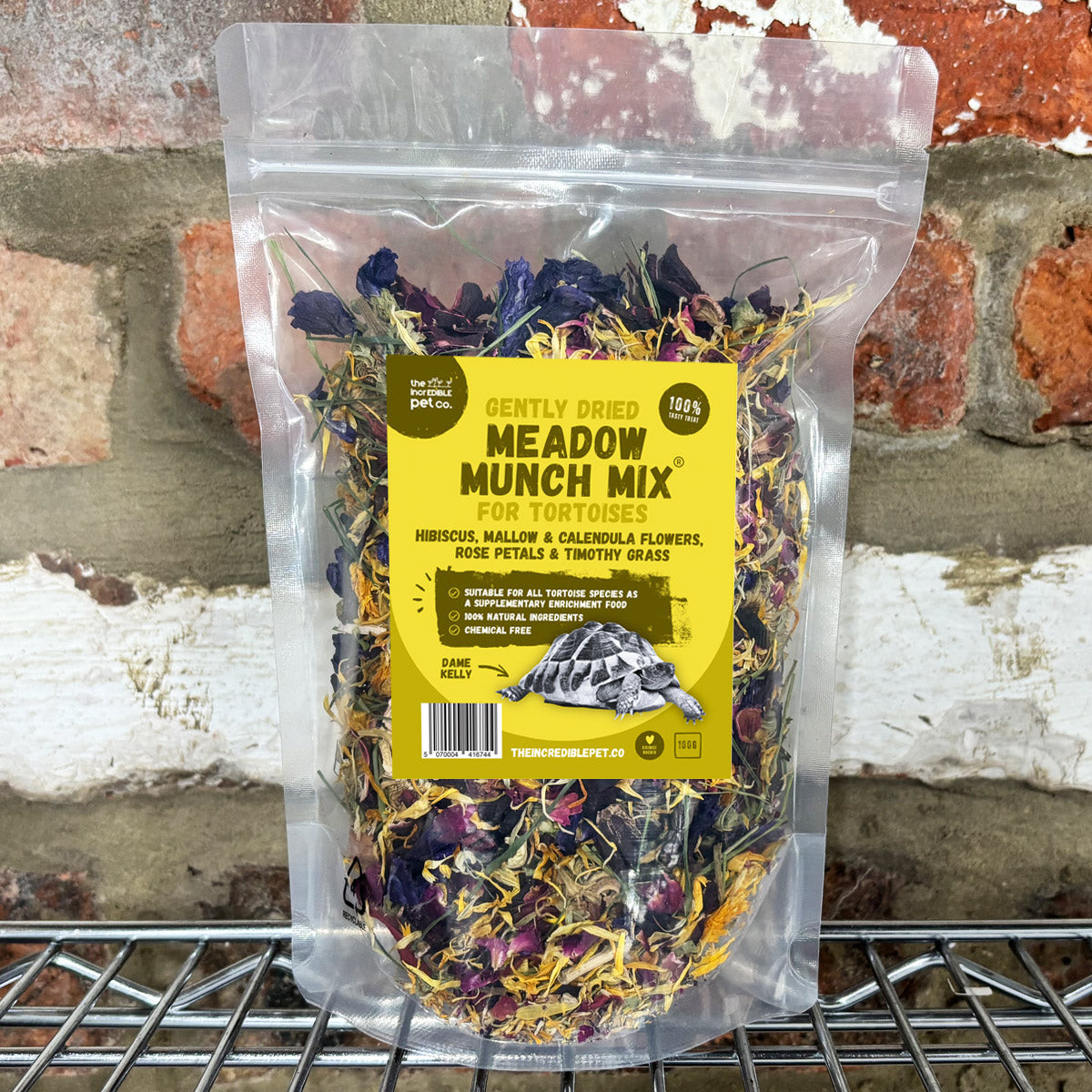 Gently Dried Meadow Munch Mix - Tortoises
