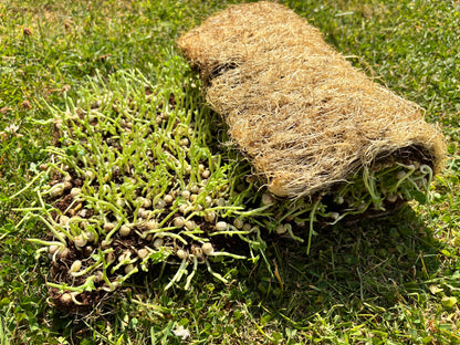 Microgreen Peck Patch - The zero-waste chicken foraging mat