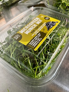 Microgreen Munch Mix - Tortoise